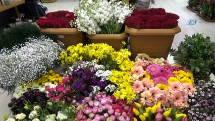 Sevgililere ‘zeytin dallı’ gül demeti