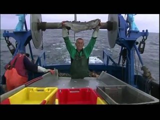 We Feed The World   Pt 01