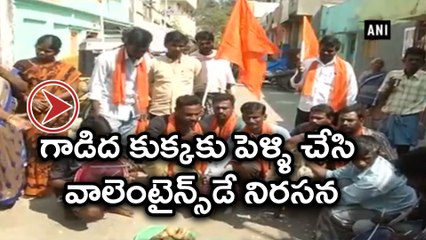 Valentine's Day protest :Dog And Donkey marriage Viral