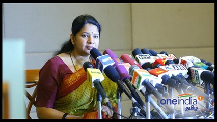 லோக்சபா தேர்தலில் போட்டியிட கனிமொழி திட்டம் ?