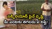 Andhra Farmer Creative idea, What's Sunny Leone doing in farms?