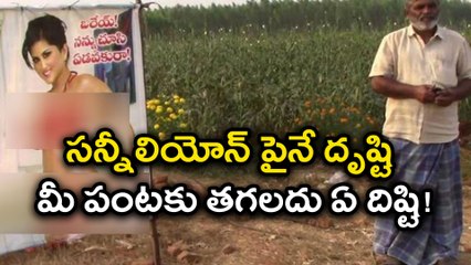 Andhra Farmer Creative idea, What's Sunny Leone doing in farms?