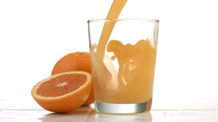 Florida citrus industry reeling in wake of Hurricane Irma