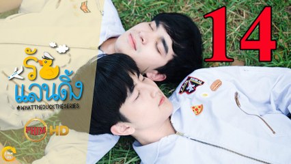 Tình Yêu Hạ Cánh - Tập 14 Vietsub || What The Duck The Series รักแลนดิ้ง EP.14 HD 2018