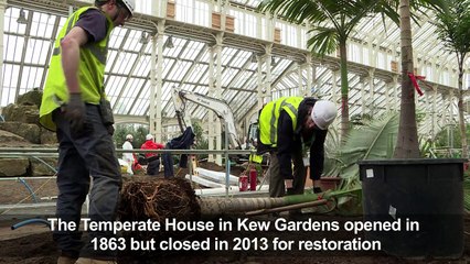 Grand London glasshouse showcasing rare plants to reopen