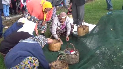 Yüzlerce Yıllık Gelenek Meci