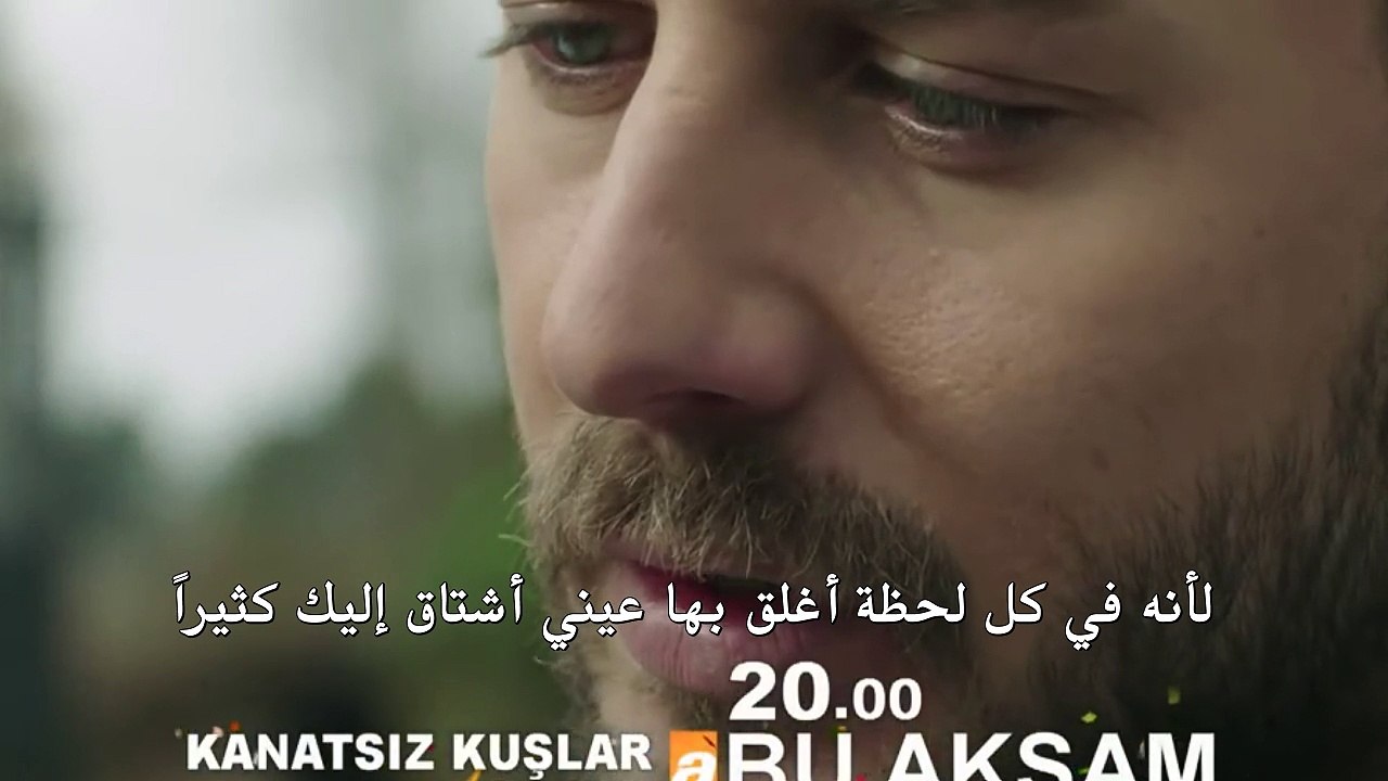 طيور 34-3