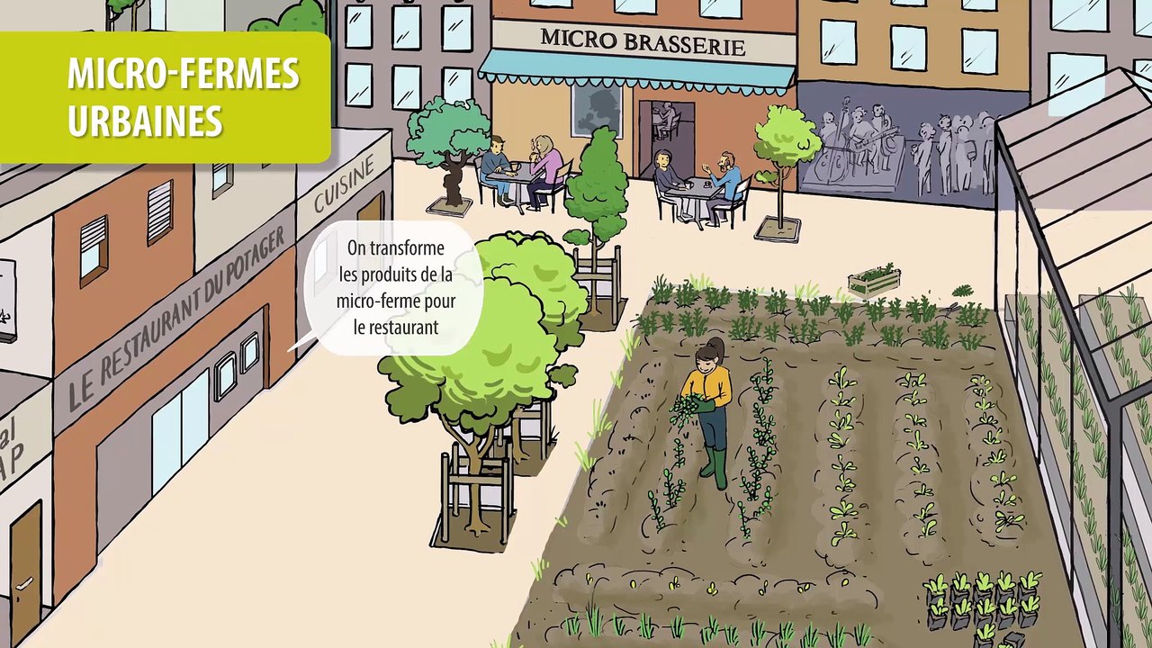 Les micro-fermes urbaines