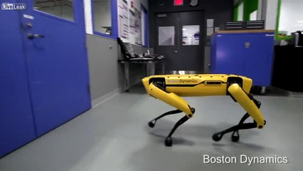 Nuova generazione di cani robot 2018