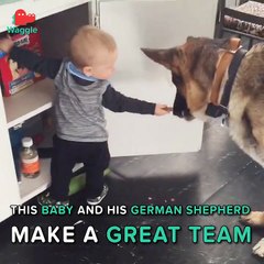 If the dog could talk, he'd give this tiny human an 11/10 rating.