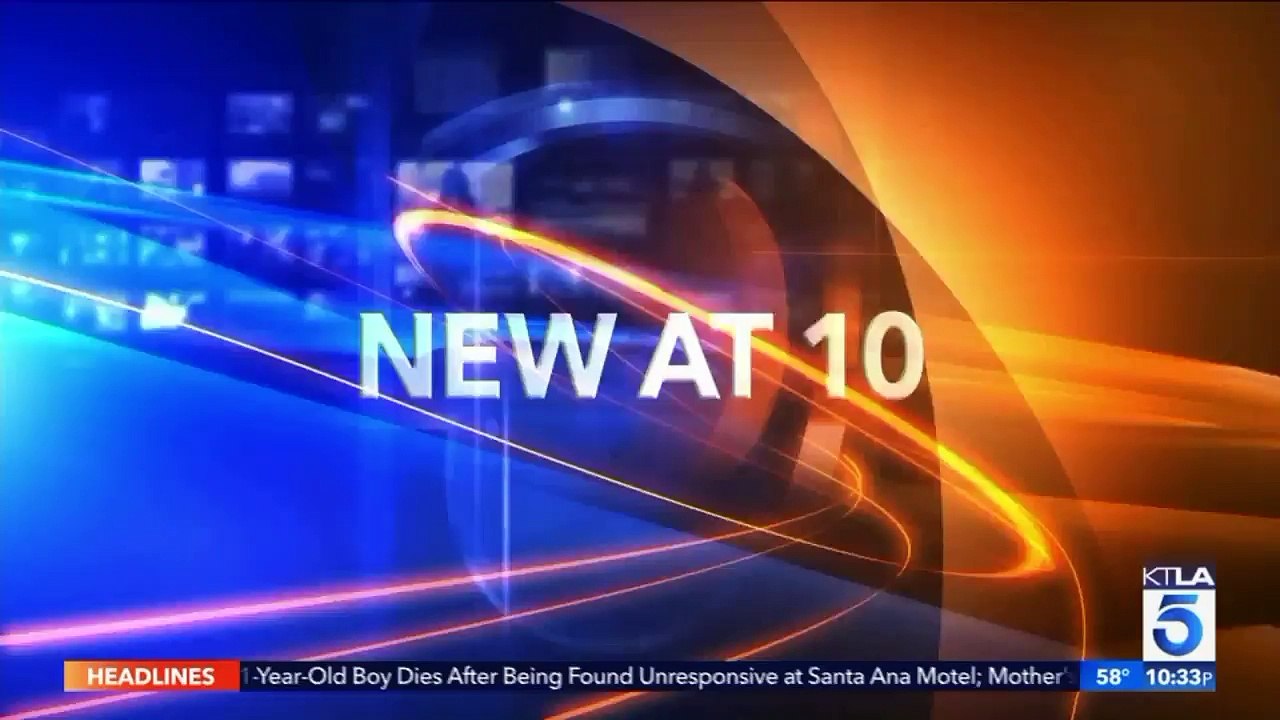 Puppy Rescued After Getting Its Paw Stuck in Escalator at Los Angeles Airport