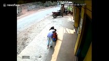 Shocking moment wild cow rams into children in India