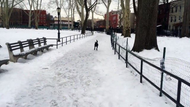 Ce gars se moque de son chien qui chute sur le verglas mais le karma va le rattraper!