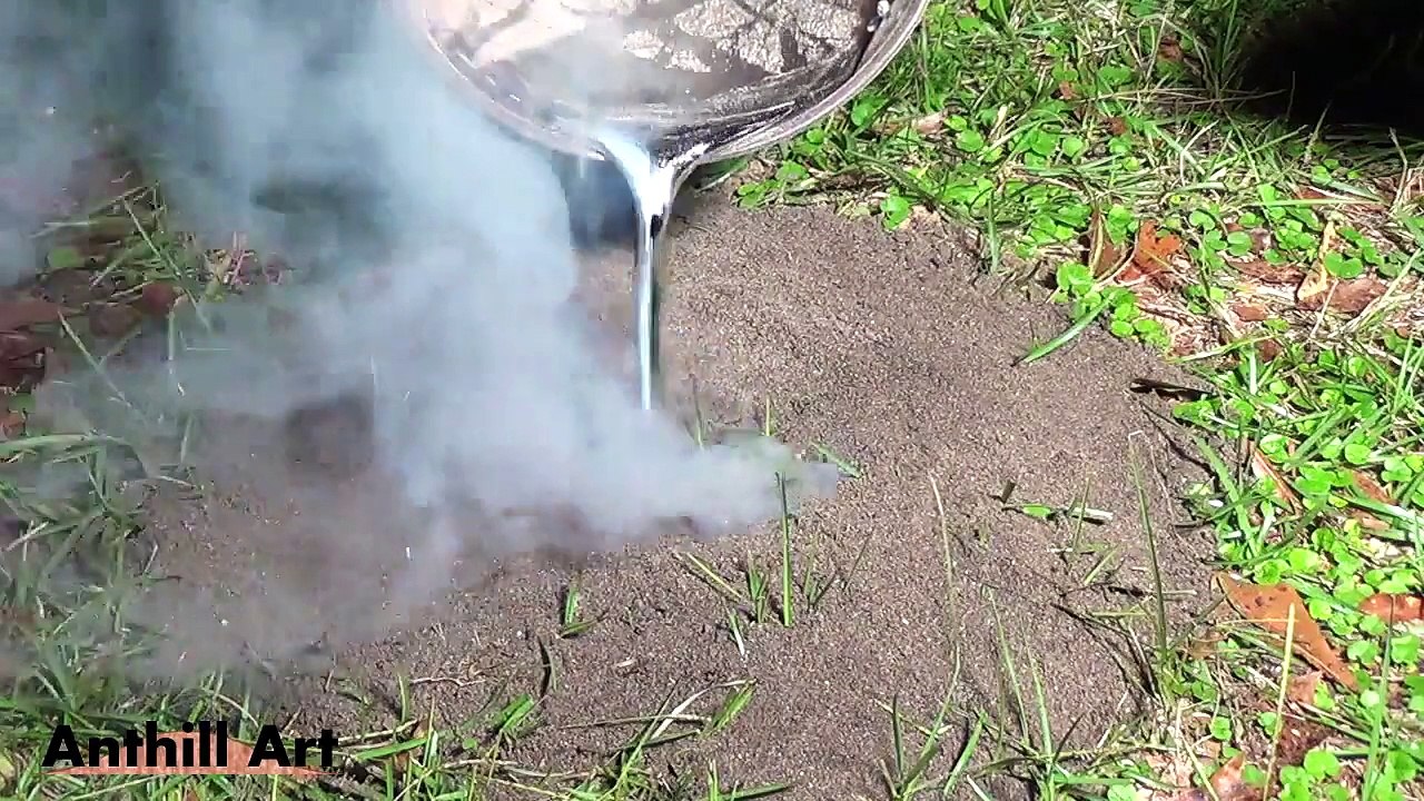Il coule de l'aluminium dans une fourmilière abandonnée et obtient une veritable oeuvre d'art... Anthill Art