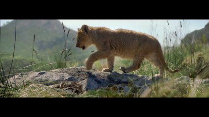 Ogilvy Paris pour Perrier - « Le lionceau » - Février 2018