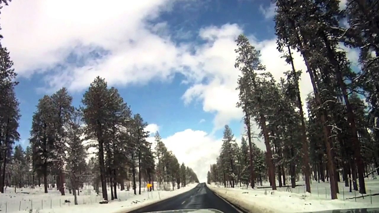 Long December Rain - Hallelujah