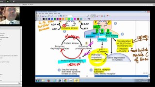 Becker Science - Biochemistry 05 [Part 4]