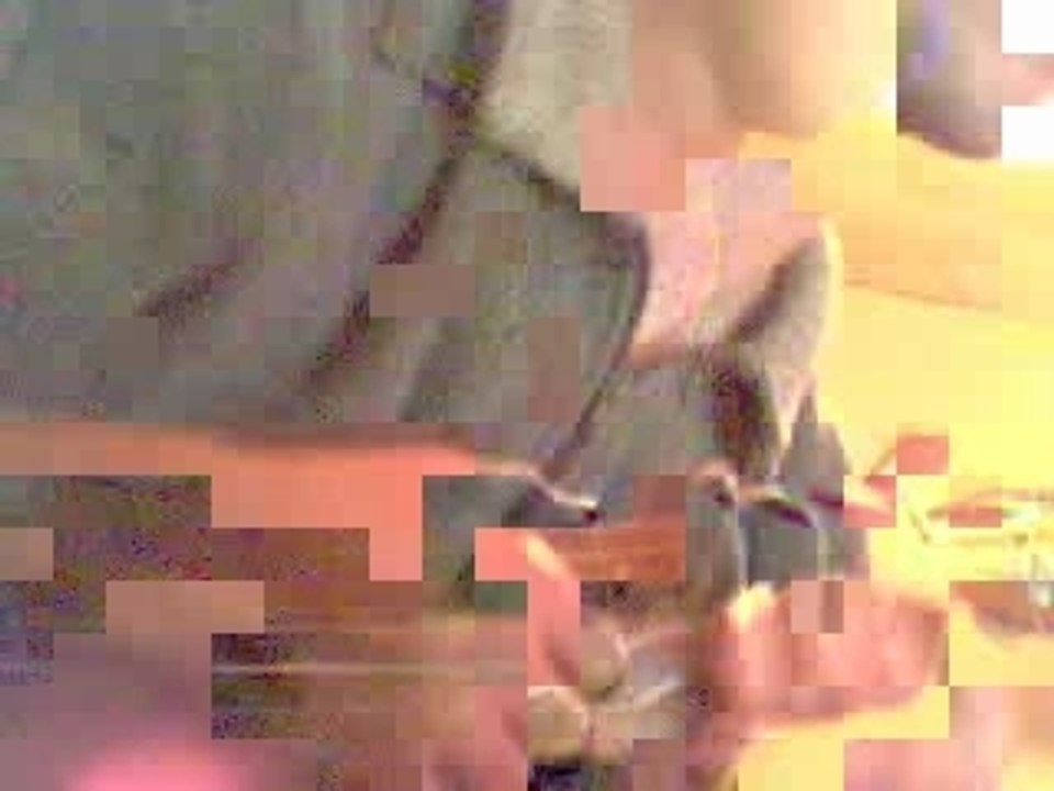 le chat botté au ukulélé