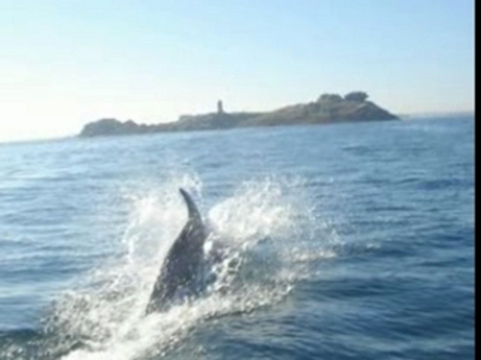 2 REVENGER 29 - Île de Sein - Ar Men