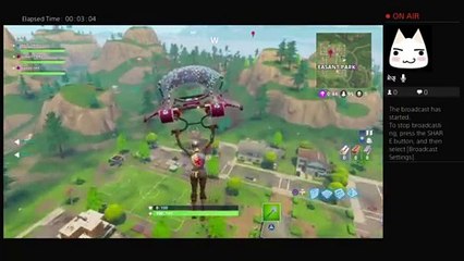 Fortnite WITH FAGS