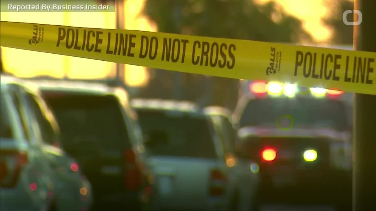 School Shooting Survivor Gives Stern Message to Politicians