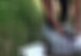 Quito: una mujer falleció luego de ser atacada por unos perros
