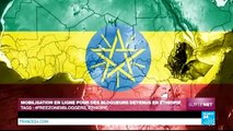 Mobilisation en ligne pour des blogueurs détenus en Éthiopie - #SurLeNet