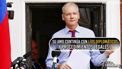 ¿Por qué el gato de Julian Assange se roba la atención en medio de sus líos diplomáticos?