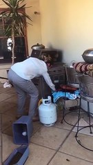 Big Red Bellied Black Snake