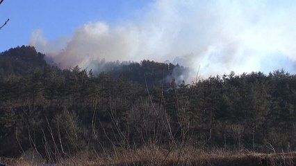 삼척 산불 강풍에 재발화...완전 진화 총력 / YTN