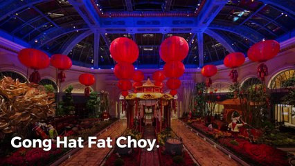 Chinese New Year: Las Vegas celebrates the Year of the Dog