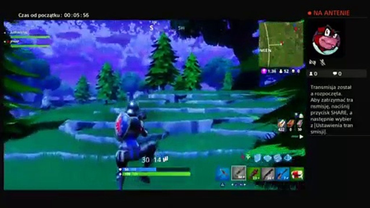 Fortnite (110)