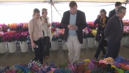 Un paseo en medio de flores pone punto final a la visita de eurodiputados a Colombia
