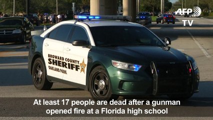 At least 17 dead in US school shooting, suspect arrested