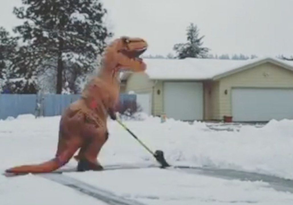 Woman Dressed as 'Spokanasaurusrex' Shovels Snow During Blustery Storm in Spokane