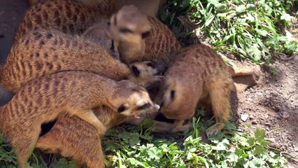 W5Y9-중절수술 [중절수술비용ssuu22299@gmail.com  ~메일로 문의하세요.] 중절가능한병원