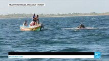 Sri Lanka: Mammoth efforts deployed to rescue two elephants washed out to sea