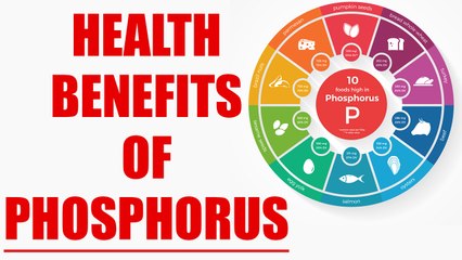 Phosphorus Rich Foods and their Health Benefits | Boldsky