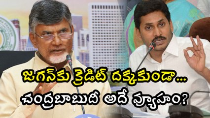 Chandrababu Naidu Counter Strategy on YSRCP MPs Resignation