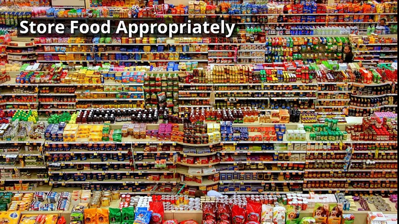 Avoid Pest Infestation and Stay Healthy