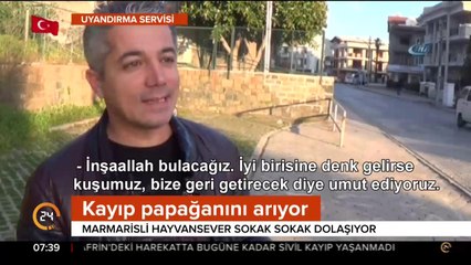 Sokak sokak dolaşıyor