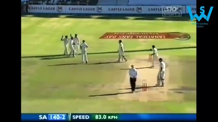 Funniest catches in cricket ever Best cricket catches