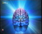 Psicodelia: Cerebro y LSD
