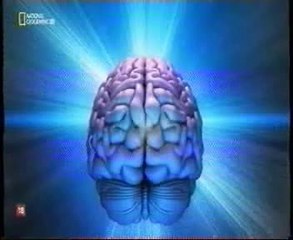 Psicodelia: Cerebro y LSD