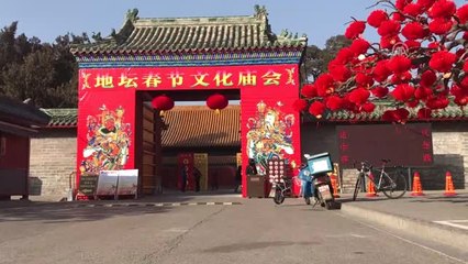 Çin Köpek Yılı'na Giriyor