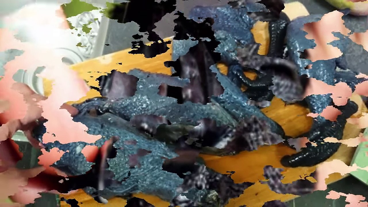 Allah ki Qudrat ll Allah ki qudrat ka karishma ll Subhan Allah