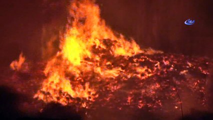 Palet fabrikasının depolama alanında çıkan yangın kontrol altına alındı