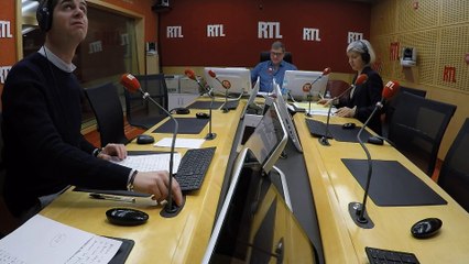 Les corbeaux dressés pour ramasser des mégots de cigarette - Les inattendus de Cyprien Cini