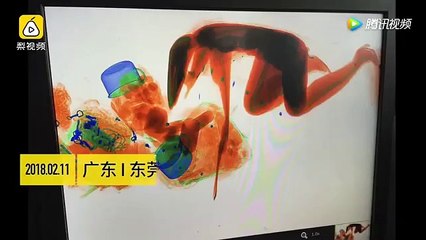 Une femme refuse de se séparer de son sac à main  elle passe dans le scanner à rayon X !