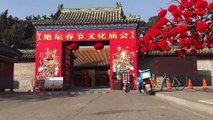 Çin Köpek Yılı'na giriyor - PEKİN